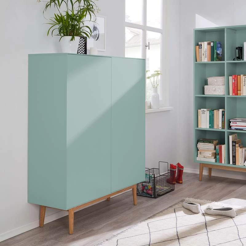 Meuble à Chaussures LINDHOLM - 2 Portes 4 Meuble à Chaussures LINDHOLM - 2 Portes – Image 2