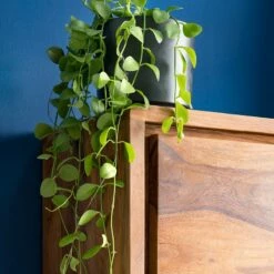 Colonne Salle De Bain TRANGLE 2 Portes -HOME24 Soldes 1000292023 230726 031 DETAILS P000000001000292023