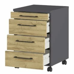 Caisson à Roulettes GW-Profi 2.0 26 Caisson à Roulettes GW-Profi 2.0 -HOME24 Soldes 1000307866 211109 16163800086 DETAILS P000000001000307866