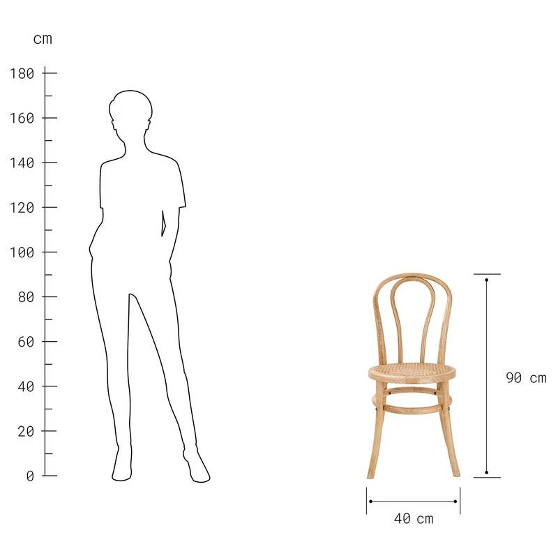 Chaises WIENER MELANGE (lot De 2) 12 Chaises WIENER MELANGE (lot De 2) – Image 10