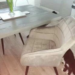 8 Chaises De Salle à Manger Camden -HOME24 Soldes 67b225ed9d9242da9a22faee96c365a1