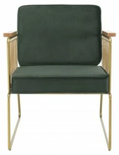Fauteuil Velours Vert Foncé -HOME24 Soldes 892b70ad7a594b42a2509db99c7b8c8e.cropped 161 91 578 751.processed