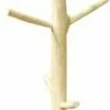 Porte Manteau Branches En Bois 2 Porte Manteau Branches En Bois -HOME24 Soldes d6aed9b354e84f9a896a81c75477cb5c.cropped 316 40 160 728.processed